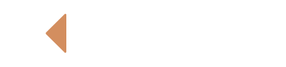 light logo